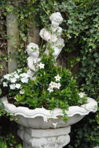 Ein Garten an der Unterkunft Suite " Mon Rêve "