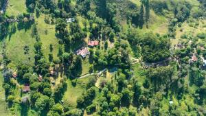 an aerial view of a village in a forest at Condominio Hacienda Shangrila in San Francisco