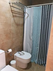 een badkamer met een toilet, een douche en een wastafel bij Suncity Atico La Merced in Málaga