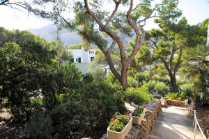 a garden with potted plants and trees and a house at Hostal Los Pinos in Cala de Sant Vicenc
