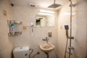 a bathroom with a shower with a sink and a toilet at The Tinkov house in Lovech in Lovech