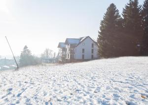 einen schneebedeckten Hof mit einem Haus im Hintergrund in der Unterkunft Ferienwohnung Panoramablick Postwiese in Winterberg-Neuastenberg in Winterberg