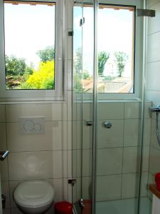 La salle de bains est pourvue d'une douche et de toilettes. dans l'établissement Haus Meersburg See, à Meersburg