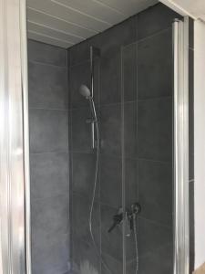 baño con ducha y puerta de cristal en Ü Villa Resturlaub OG, en Hirschaid