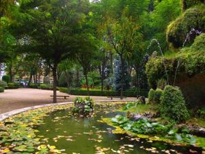 a garden with a pond with lily pads and trees at Piso céntrico de 3 habitaciones con terraza y vistas in Girona