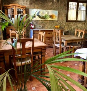 a dining room with a table and chairs and a plant at Casa Parranxo in Senterada