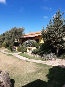 a view of the house from the garden at Agriturismo Campesi casale tra le vigne in Aglientu