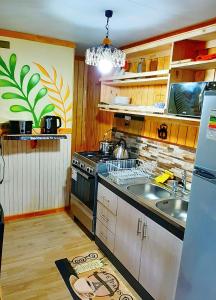 une cuisine avec un évier et une cuisinière four supérieur dans l'établissement Apart "Villa Antonia" Cabañas y Departamentos Delegaciones, à Dalcahue