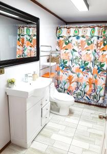 une salle de bain avec toilettes et rideau de douche dans l'établissement Apart "Villa Antonia" Cabañas y Departamentos Delegaciones, à Dalcahue