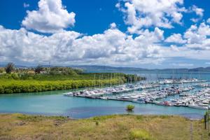 Gallery image of STUDIO EQUIPE A L ETANG Z ABRICOTS in Fort-de-France