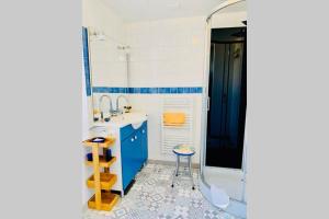 ボーヌにあるLe Petit Blanc - Vue sur le Square des Lionsの青いバスルーム(シンク、シャワー付)