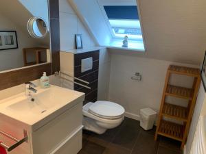 ein Badezimmer mit einem WC, einem Waschbecken und einem Dachfenster in der Unterkunft Haus Encore in Büsum