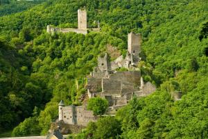 an old castle on the side of a hill at Ferienhaus am Sauerbrunnen in Daun