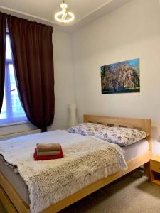 ein Schlafzimmer mit einem großen Bett und einem Fenster in der Unterkunft Apartmány u Barči in Franzensbad
