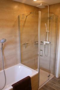 a bathroom with a shower with a bath tub at Ferienwohnung Waldvogel in Immenstaad am Bodensee