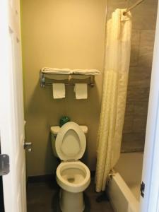 a bathroom with a toilet and a shower at Flamingo Beach Inn in Biloxi