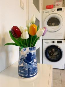 een blauwe en witte vaas gevuld met kleurrijke tulpen bij Harlingen Garden Apartment in Midlum