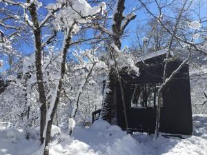 een huis bedekt met sneeuw naast enkele bomen bij Chillán House in Las Trancas