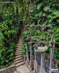 Taman di luar Hotel Sierra Linda