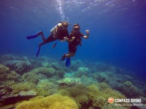 Fotografie z fotogalerie ubytování Compass Diving Resort v destinaci Beloi