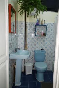 a bathroom with a blue toilet and a sink at Recycled house in Santo Domingo