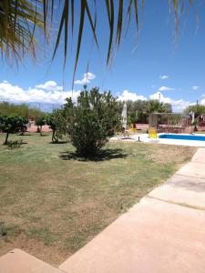 un parque con un árbol y una piscina en Hotel Cañon de Talampaya, en Villa Unión
