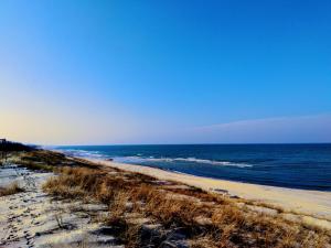 a sandy beach with the ocean in the background at Audringa in Nida