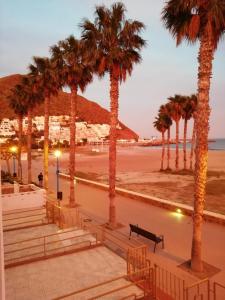 サン・ホセにあるApartamento en la Playa de San José-sjjcの浜辺のベンチやヤシの木がある公園