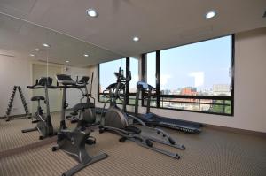 Fitness centrum a/nebo fitness zařízení v ubytování Academy Hotel