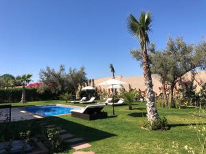 un patio trasero con una palmera y una piscina en La Rose des Sables, en Marrakech