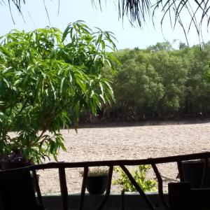 Landskap semula jadi dekat dengan rumah tamu ini