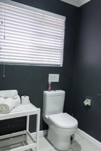 a bathroom with a white toilet and a window at Conifer Beach House in Port Elizabeth