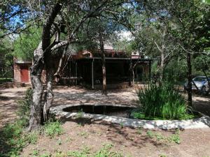 a house in the middle of a yard with a tree at Coga Cottage - Marloth Park in Marloth Park
