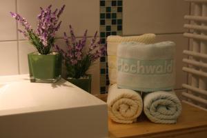 Fotografie z fotogalerie ubytování Hotel Hochwald v destinaci Bad Liebenzell