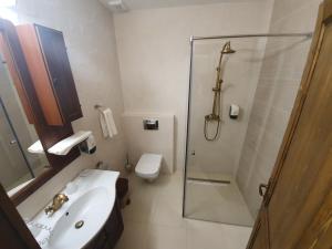 La salle de bains est pourvue d'une douche, d'un lavabo et de toilettes. dans l'établissement Păstrăvăria Alex, à Mara