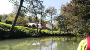 Příroda nedaleko bed and breakfast