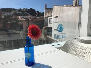 a red flower in a blue bottle on a window sill at Mamma Mia Hotel Boutique - Only Adults in Tossa de Mar
