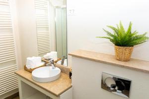 ein Badezimmer mit einem Waschbecken und einer Pflanze auf einer Theke in der Unterkunft Vatra Boiereasca in Cacica
