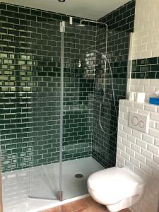 a bathroom with a shower with a toilet and a sink at Manoir de la Grand'Cour in Soulgé-sur-ouette