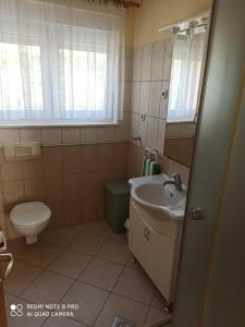 a bathroom with a sink and a toilet and a window at Apartments Ana in Grebaštica