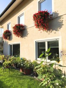 a building with flowering plants in front of a house at Haus Gies in Wasserburg am Bodensee