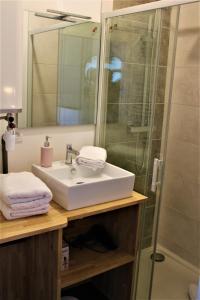 La salle de bains est pourvue d'un lavabo et d'une douche. dans l'établissement Cocooning Studio, à Pontivy