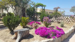 Foto dalla galleria di L'Escale Plage a Algajola