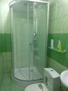 ニジニ・ノヴゴロドにあるApartamienty na Rozhdiestvienskoiのバスルーム(シャワー、トイレ、シンク付)