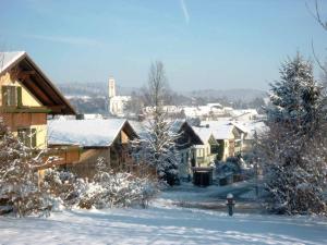 un pueblo cubierto de nieve con casas y una boca de incendios en Pension Irene Nist, en Bad Birnbach