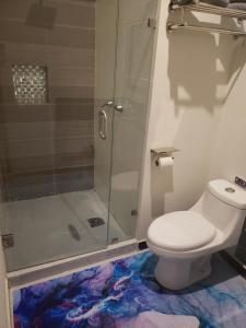 a bathroom with a toilet and a glass shower at Privatto Suites in Saltillo