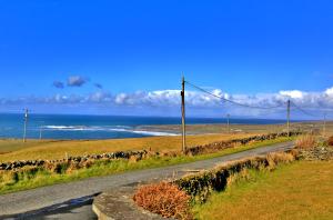 a road with a herd of sheep walking down a field at Cois Farraige in Doolin