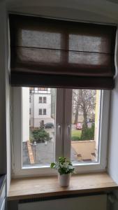 Fotografia z galérie ubytovania Stylowy 2-pokojowy apartament 5 min. od Rynku vo Vroclavi