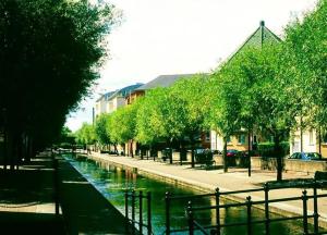 Foto dalla galleria di Lovely double bedroom in Rotherhithe a Londra