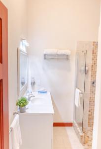 a bathroom with a shower, sink, and toilet at Sugar Cane Club Hotel & Spa in Saint Peter